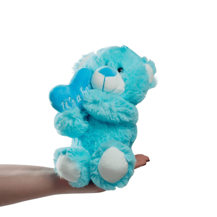 Teddy bear Its a Boy 20cm