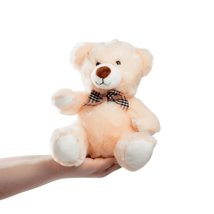 Teddy Bear 20cm