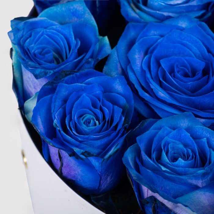 Κουτί με 15 Μπλε Τριαντάφυλλα