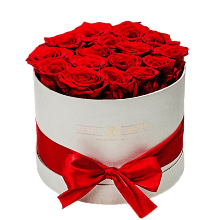 Box of 20 Red Roses 19x20cm