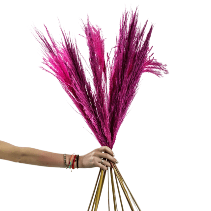 Pampas Bouquet with 10 Pampas in Fuchsia