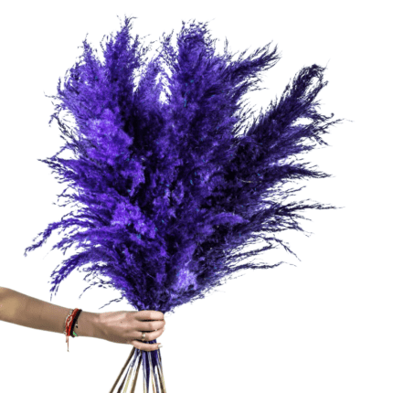 Pampas Bouquet with 10 Pampas in Purple