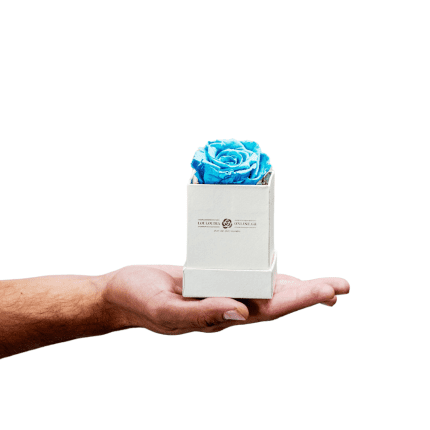 Forever Roses Light Blue Essential 6x9cm