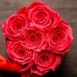 Forever Roses Πορτοκαλί Premium