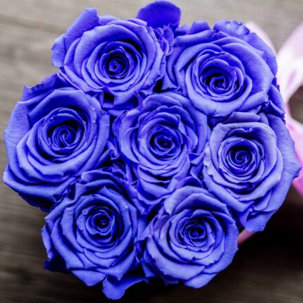 Forever Roses Purple Premium
