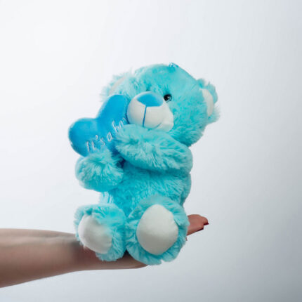 Teddy Bear Its a Boy