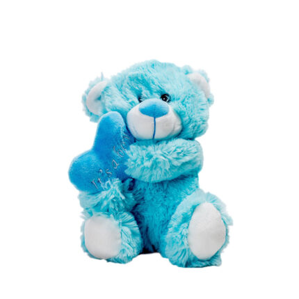 Teddy Bear Its a Boy