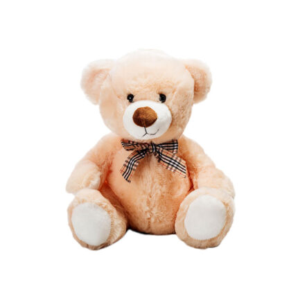 Teddy Bear Teddy Bear