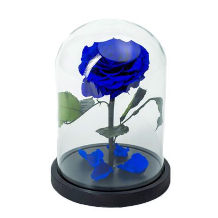Beauty & The Beast Blue Deluxe