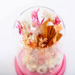 Dry Flowers Baby Pink Deluxe