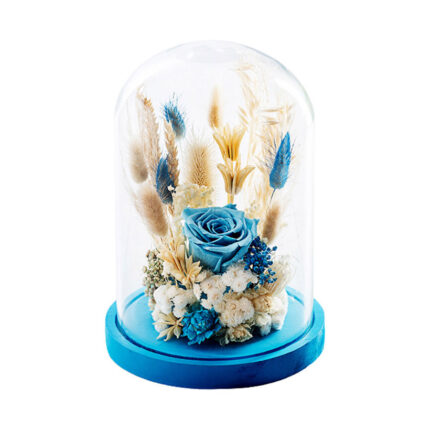 Dry Flowers Blue Deluxe