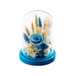 Dry Flowers Blue Premium