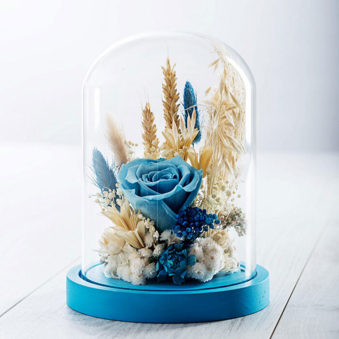 Dry Flowers Blue Premium
