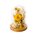 Dry Flowers Yellow Premium