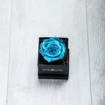 orever Roses Γαλάζιο Essential