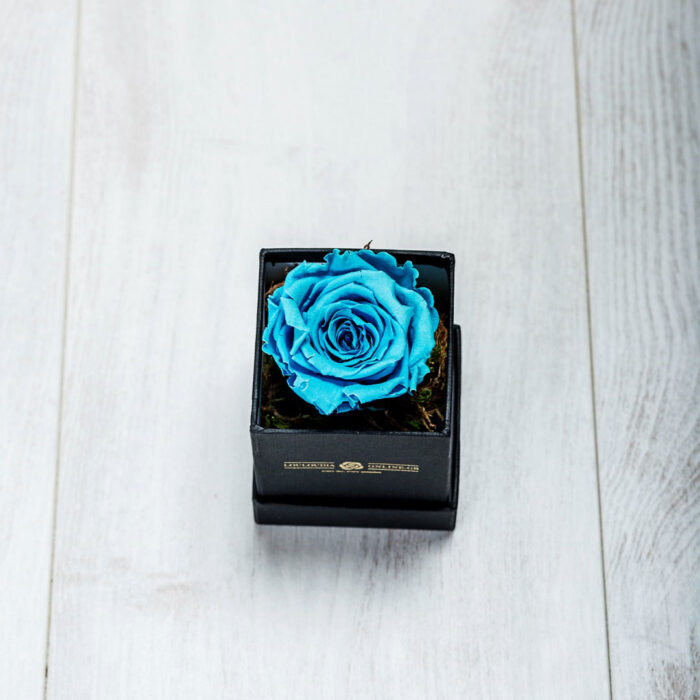 orever Roses Γαλάζιο Essential