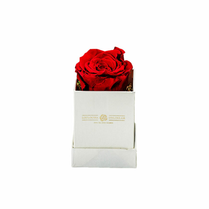 Forever Roses Κόκκινα Essential