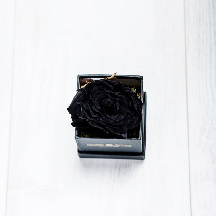 Forever Roses Μαύρα Essential