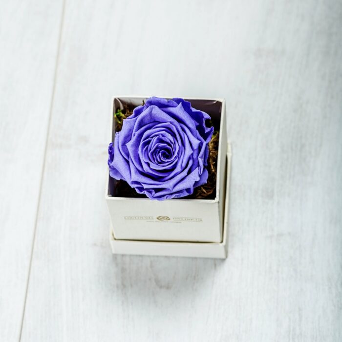 Forever Roses Purple Essential