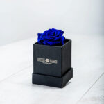 Forever Roses Μπλε Essential