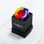 Forever Roses Rainbow Essential