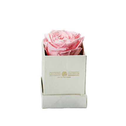 Forever Roses Pink Essential
