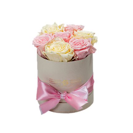 Forever Roses Pink-White Premium