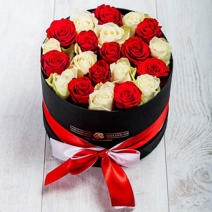 Κόκκινο-λευκό τριαντάφυλλα σε Κουτί