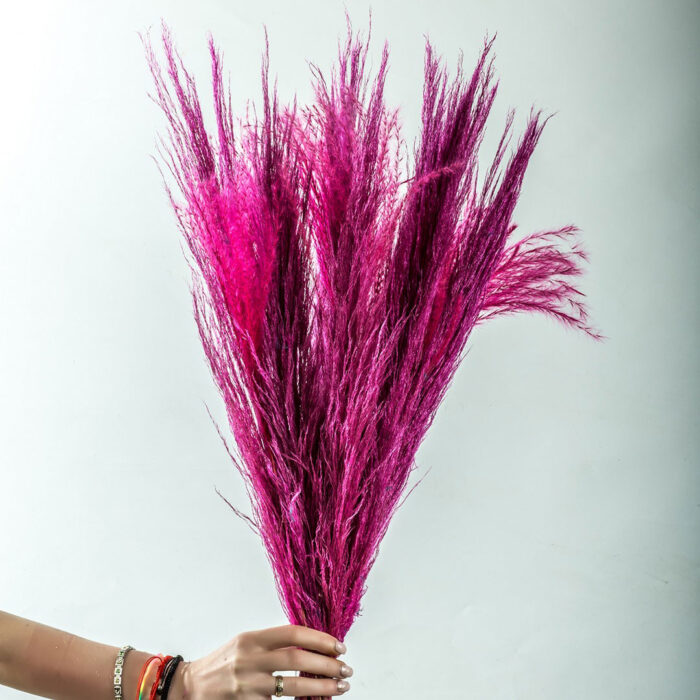 Pampas Bouquet with 10 Pampas in Fuchsia