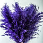 Pampas Bouquet with 10 Pampas in Purple