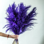 Pampas Bouquet with 10 Pampas in Purple