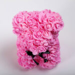 Rose Bear Ροζ Essential 25cm σε κουτί
