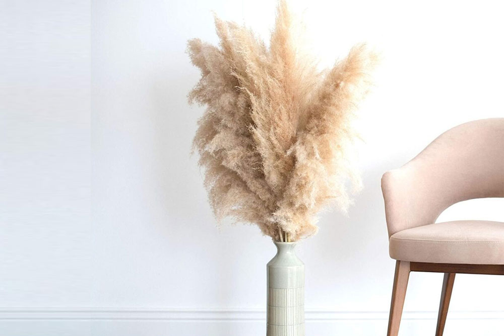 PAMPAS GRASS: HOW TO USE THEM FOR DECORATION