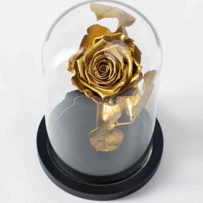 Beauty & The Beast Gold plated 12x20cm