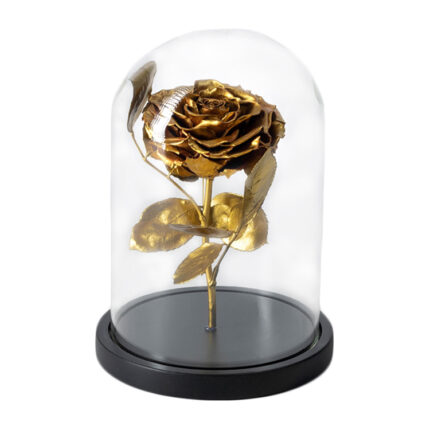 Beauty & The Beast Gold Deluxe