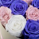 Roses Pink-Lilac-White Deluxe