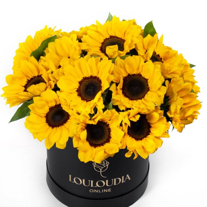Box with 20 Sunflowers