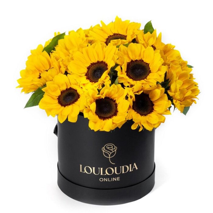 Box with 20 Sunflowers