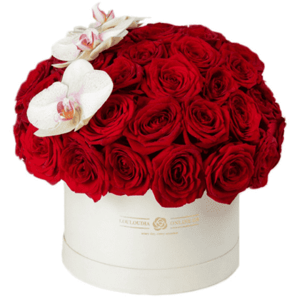 Box of 40 Red Roses and Orchids 19x30cm