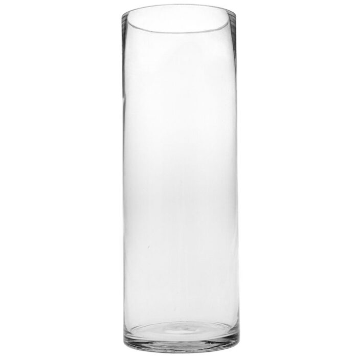 Decorative Glass Vase Long Standing Glass Vase Essential