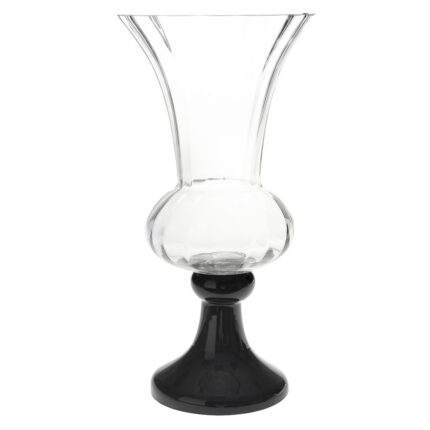 Decorative Glass Vase with Black Base