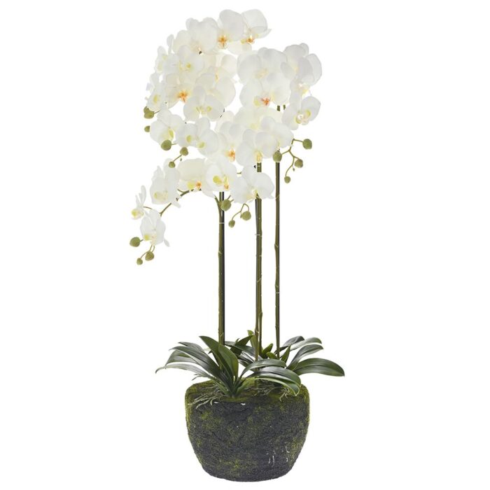 Artificial Plant in Pot Orchid Fivefold Orchid 100cm