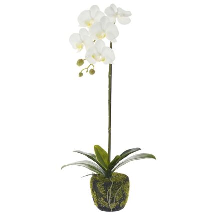 Artificial Plant in Potted Orchid