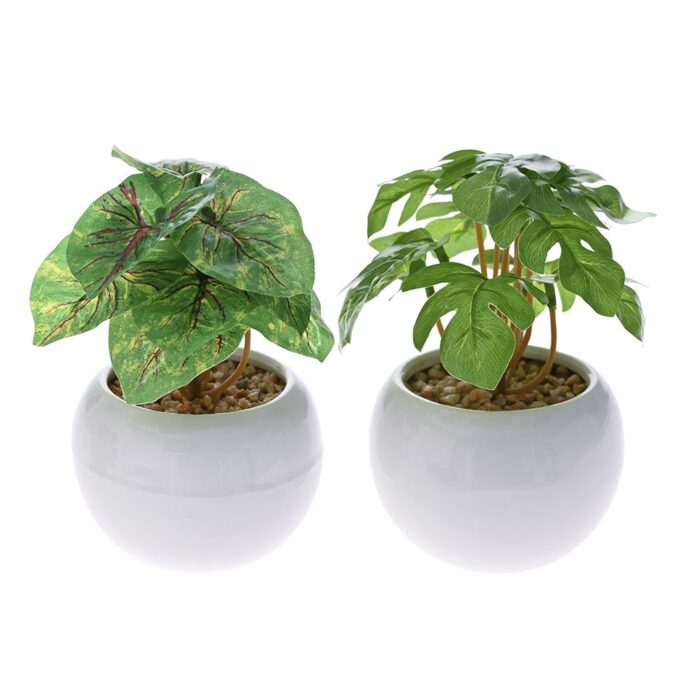 Artificial Plant in a Pot White 15cm in Various Designs