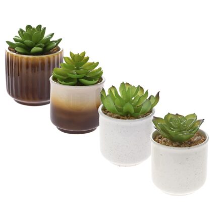 Artificial Plant in Pot Succulent 15cm in Various Designs