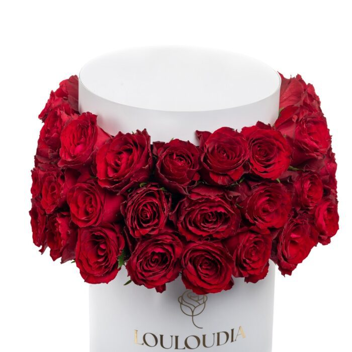 Λευκό Κουτί με 50 Κόκκινα Τριαντάφυλλα με Μπερέ