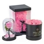 Rose Bear Pink Combo of 3
