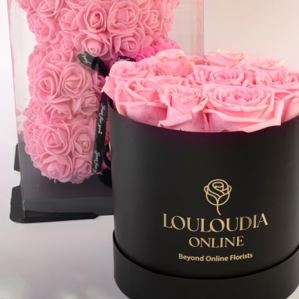 Rose Bear Pink Combo of 2