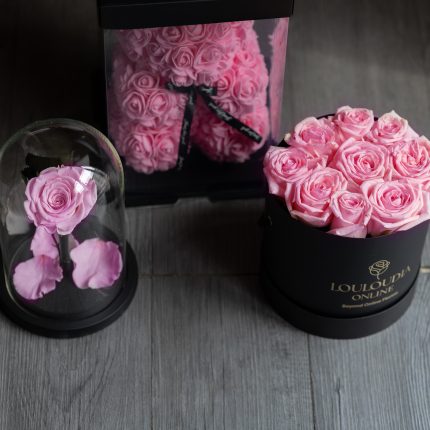Rose Bear Pink Combo of 2
