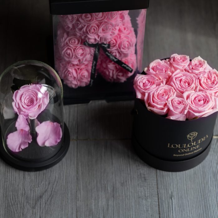 Rose Bear Pink Combo of 2